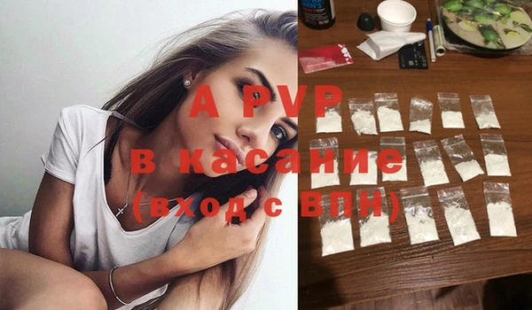 PSILOCYBIN Волосово